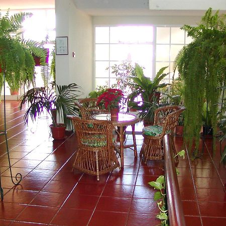 Vila Marta Funchal  Zewnętrze zdjęcie