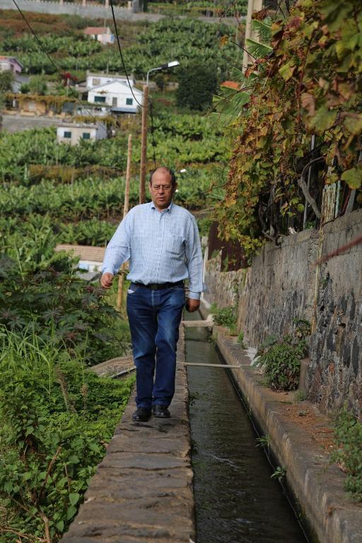 Vila Marta Funchal  Zewnętrze zdjęcie