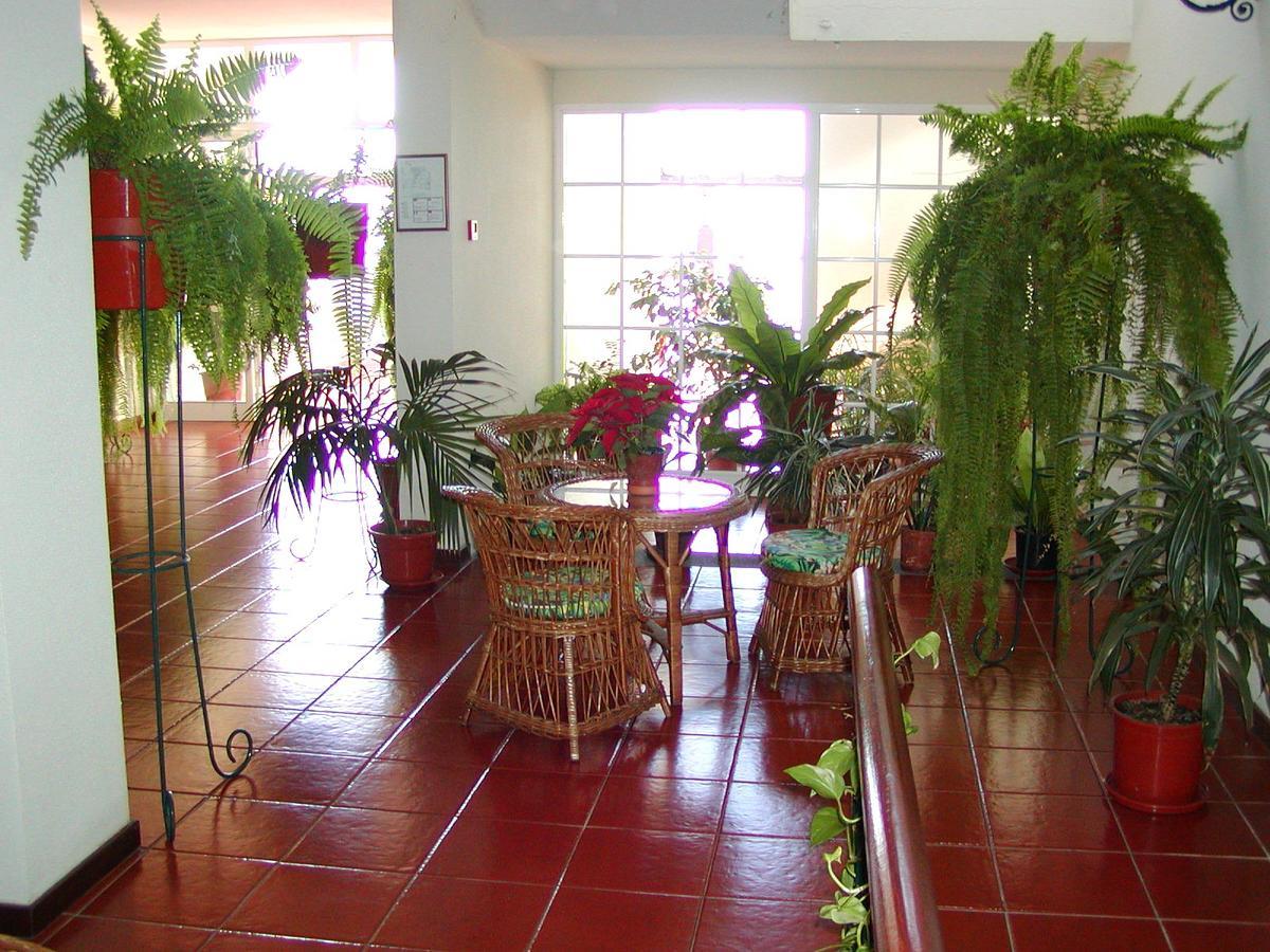 Vila Marta Funchal  Zewnętrze zdjęcie