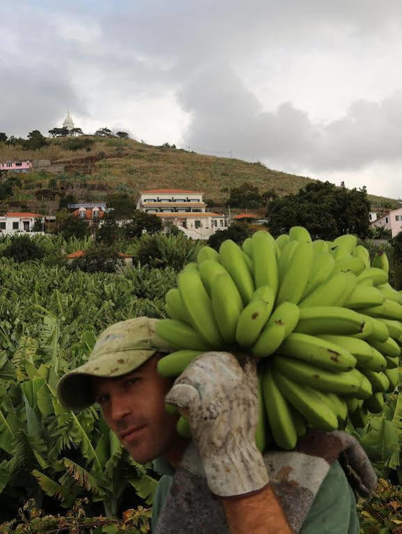 Vila Marta Funchal  Zewnętrze zdjęcie